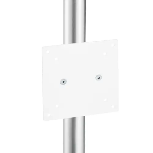 Holding plate for pole