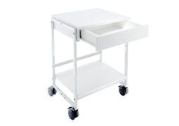 Multi-purpose trolley
